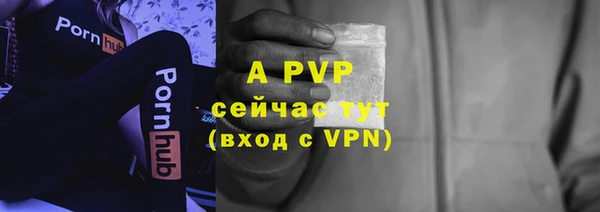 стафф Абинск
