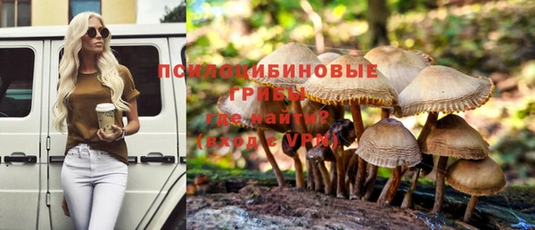 apvp Алзамай