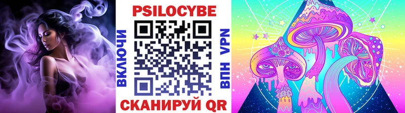 где можно купить наркотик  Тырныауз  Псилоцибиновые грибы прущие грибы 